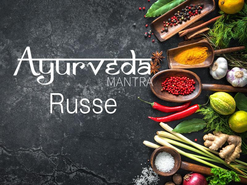 AyurvedaMantaraBanner-Russian